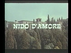 Любовное гнездышко / Nido d'amore (1984)